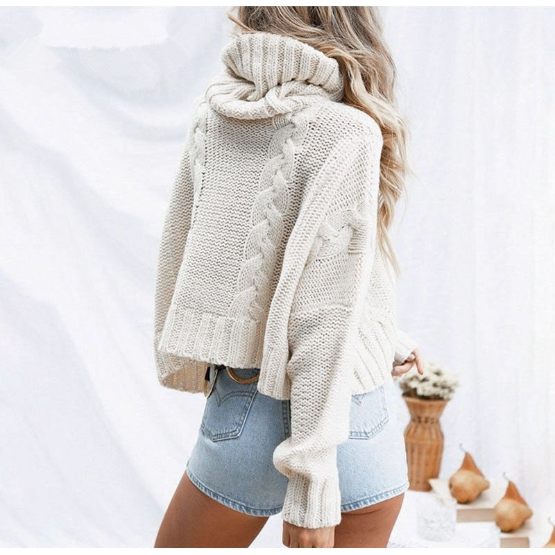Pull en grosse maille pour femmes avec col roulé montant et coupe décontractée Chic und Stil