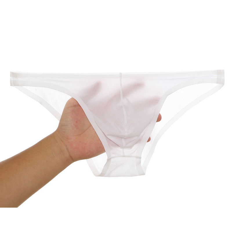 Chic und Stil | SEAMLESS, ULTRA-THIN, SHEER ICE SILK BRIEFS