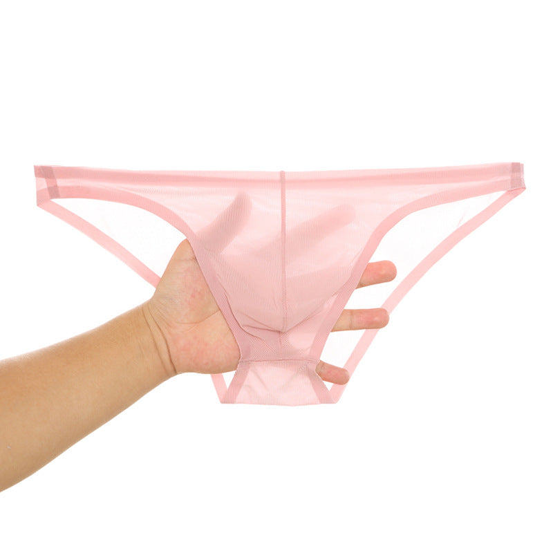Chic und Stil | SEAMLESS, ULTRA-THIN, SHEER ICE SILK BRIEFS