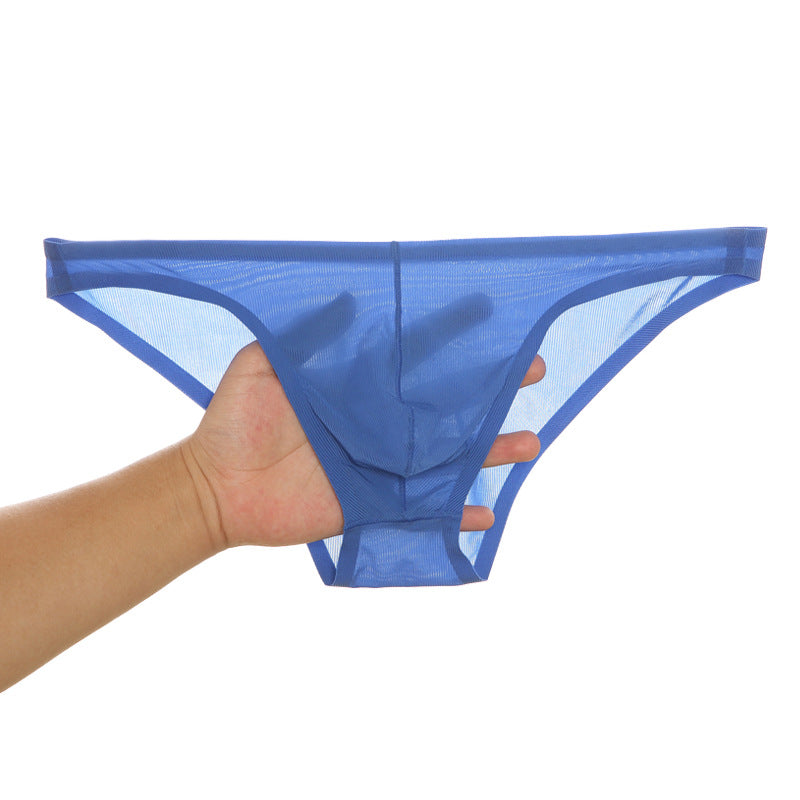 Chic und Stil | SEAMLESS, ULTRA-THIN, SHEER ICE SILK BRIEFS