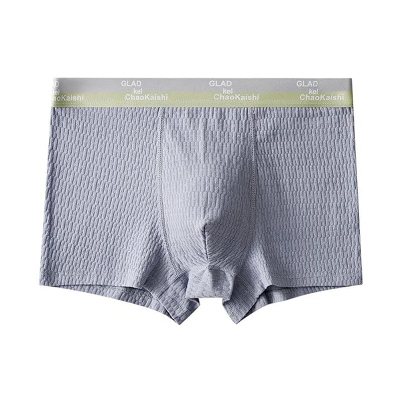 Chic and Style | Men's Breathable Antibacterial Boxer Shorts