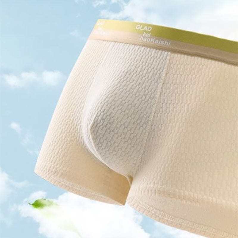 Chic and Style | Men's Breathable Antibacterial Boxer Shorts
