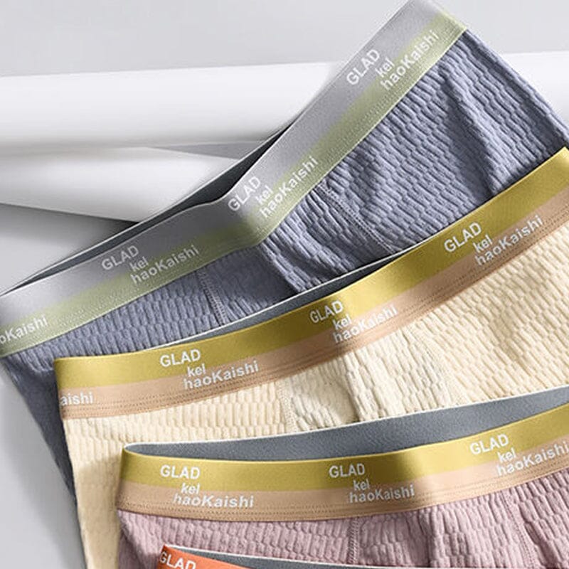 Chic and Style | Men's Breathable Antibacterial Boxer Shorts