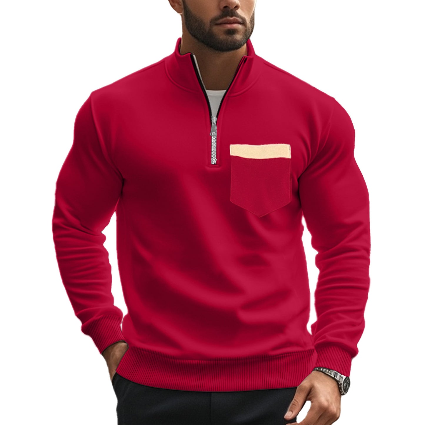 Sweatshirt pour hommes avec col montant et fermeture éclair intégrale Chic und Stil