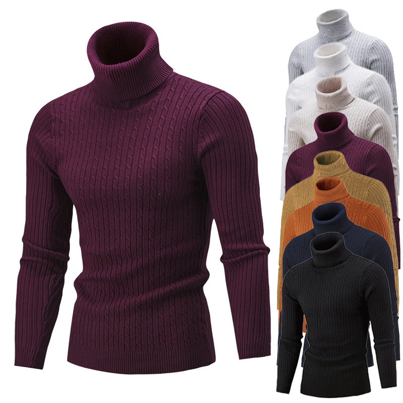 Pull-over à col roulé pour hommes avec un motif côtelé classique Chic und Stil