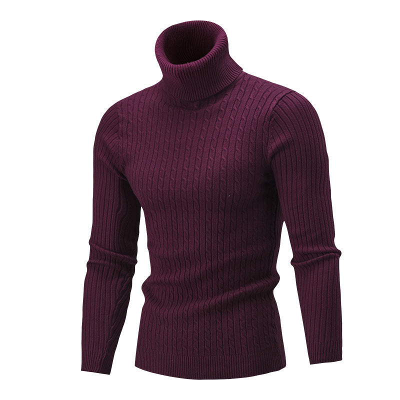 Pull-over à col roulé pour hommes avec un motif côtelé classique Chic und Stil