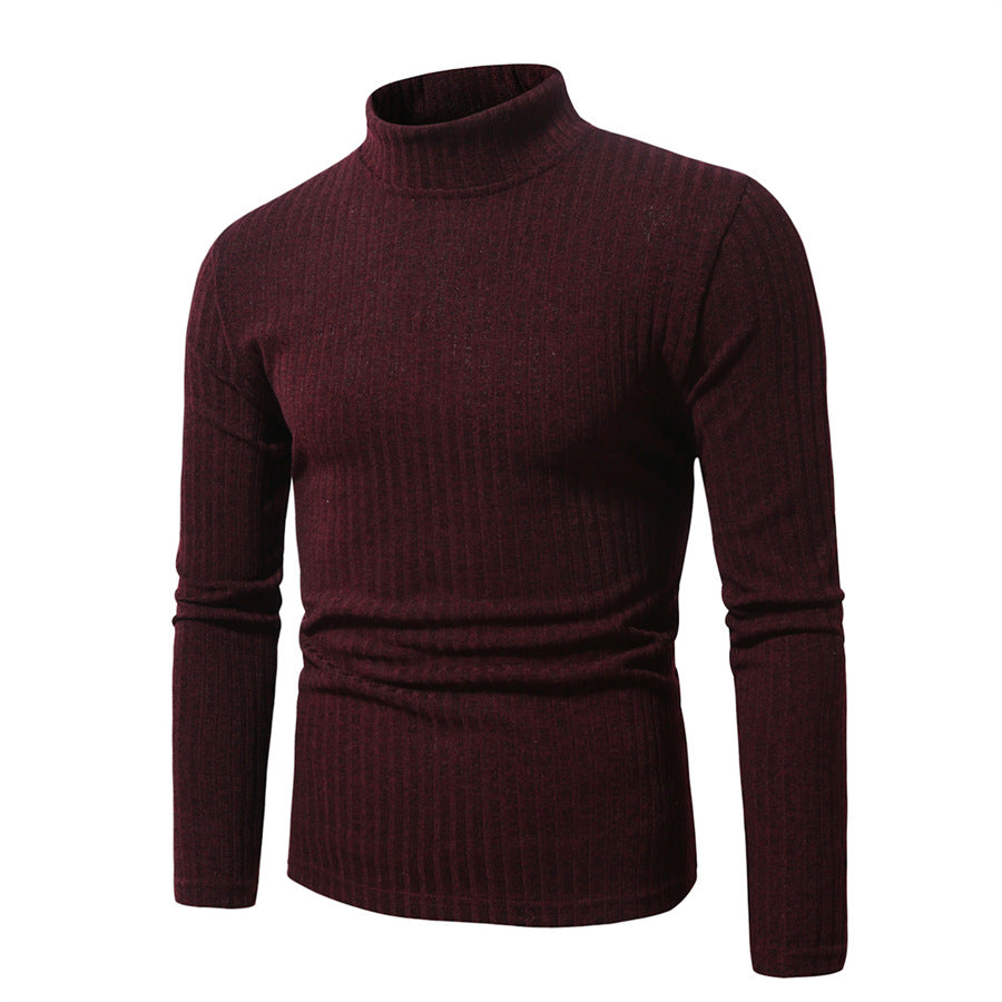 Pull col roulé en maille fine pour hommes Chic und Stil