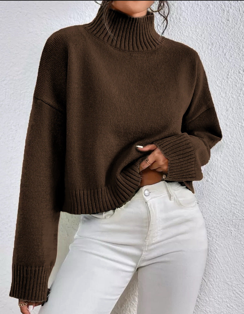 Dames pull col tendance en laine douce Chic und Stil