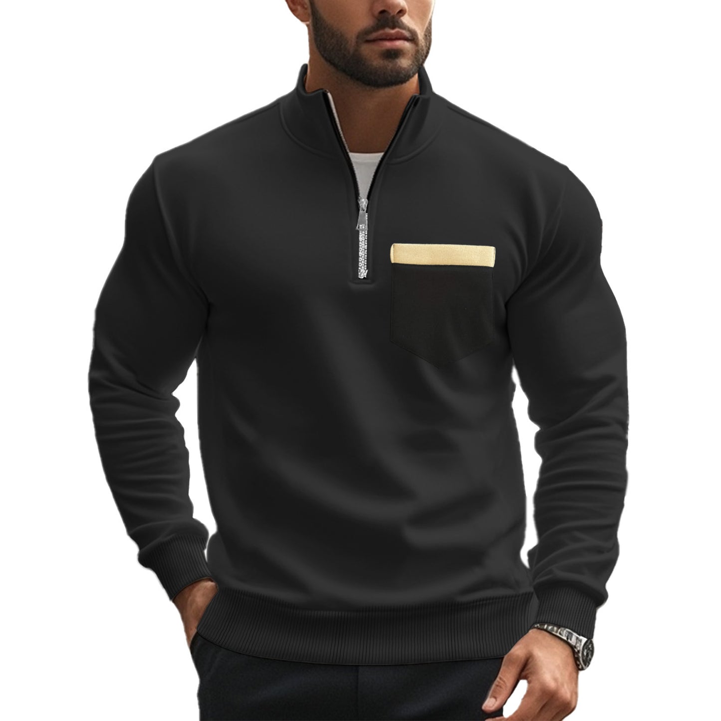 Sweatshirt pour hommes avec col montant et fermeture éclair intégrale Chic und Stil