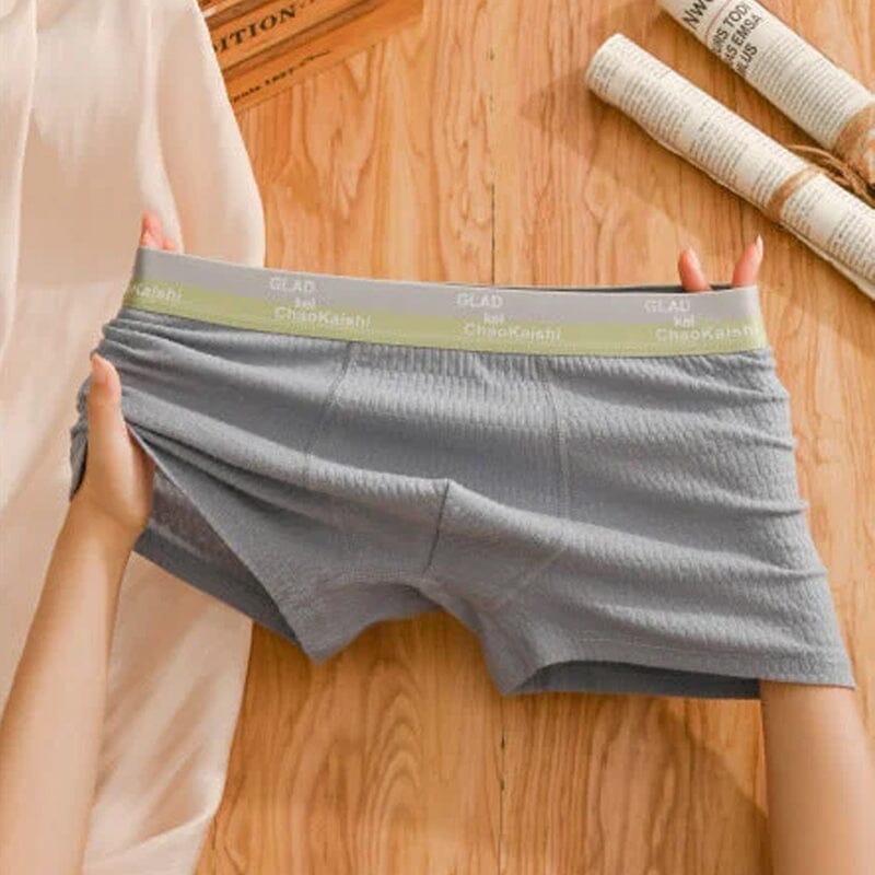 Chic and Style | Men's Breathable Antibacterial Boxer Shorts