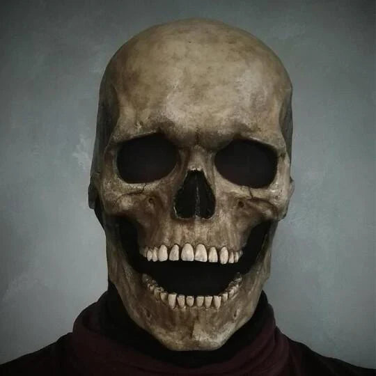 Chic and Style | Full Face Skull Mask