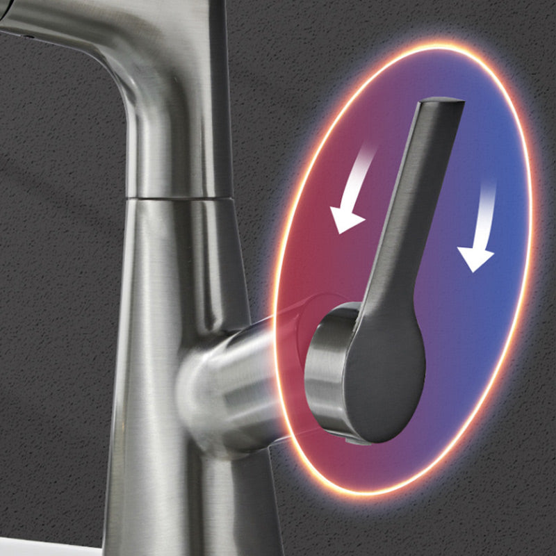 Chic and Style | 1-hole bathroom faucet with pull-out spray