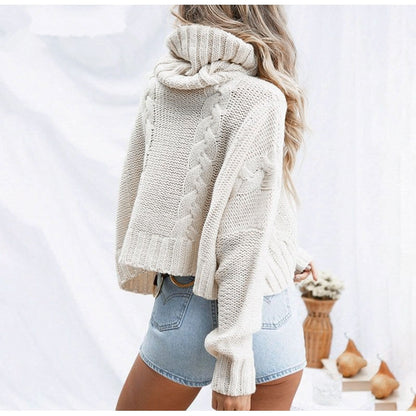 Pull en grosse maille pour femmes avec col roulé montant et coupe décontractée Chic und Stil