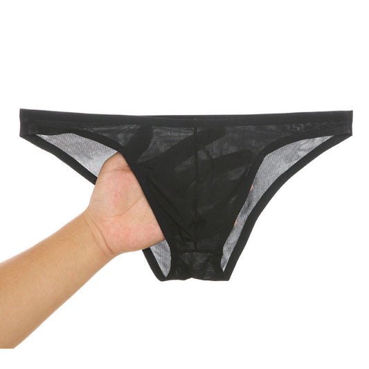 Chic und Stil | SEAMLESS, ULTRA-THIN, SHEER ICE SILK BRIEFS