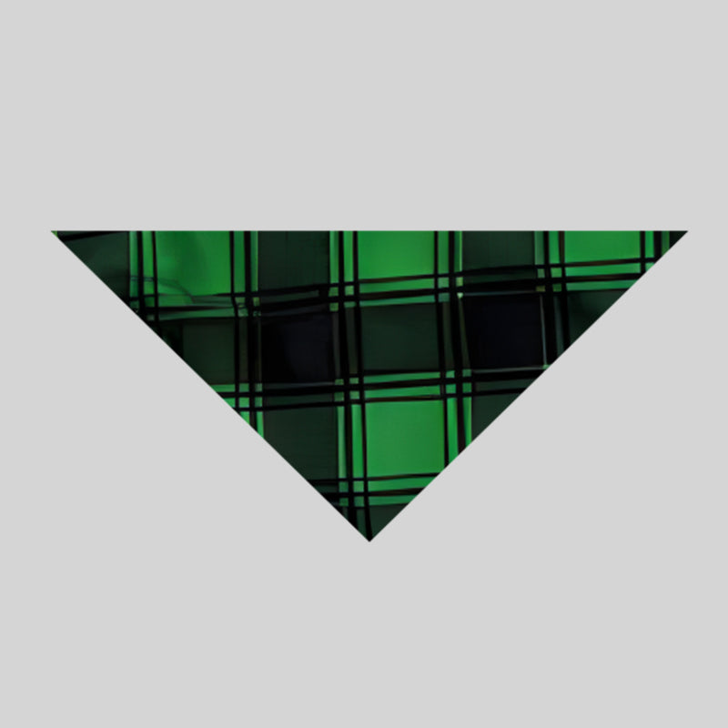 Chic und Stil | "Shared Memories Christmas 2025" Print Black and Green Checked Pants Family Matching Pajamas