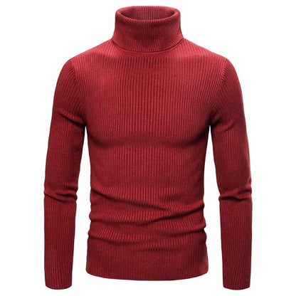 Pullover for men with a fashionable turtleneck made of high-quality knit Chic and Style