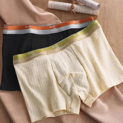 Chic and Style | Men's Breathable Antibacterial Boxer Shorts