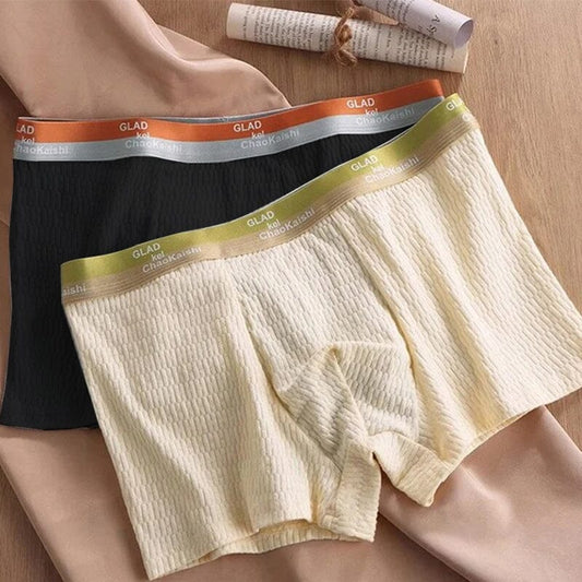 Chic and Style | Men's Breathable Antibacterial Boxer Shorts