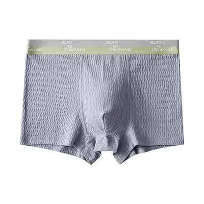 Chic and Style | Men's Breathable Antibacterial Boxer Shorts