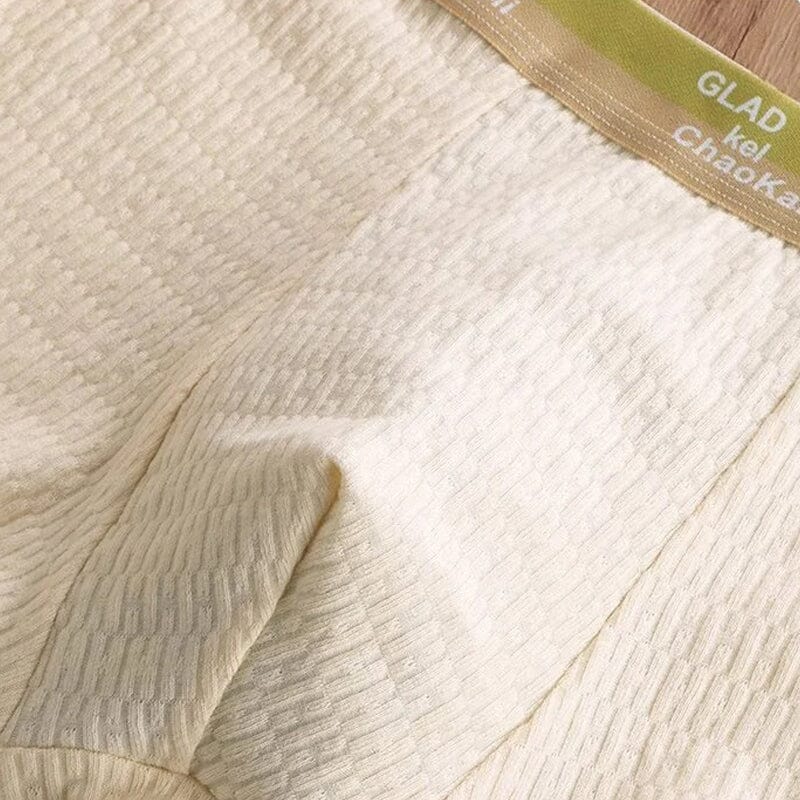 Chic and Style | Men's Breathable Antibacterial Boxer Shorts