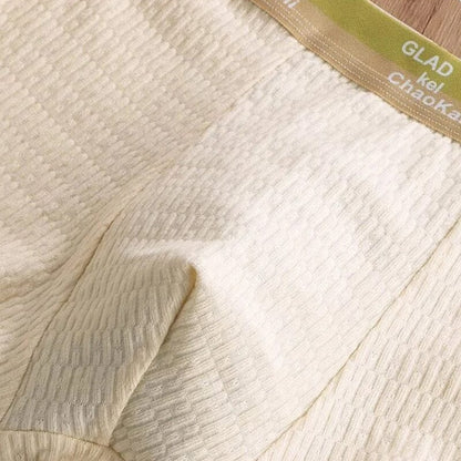 Chic and Style | Men's Breathable Antibacterial Boxer Shorts