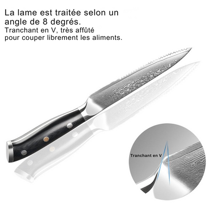 Ensemble de 6 Couteaux à Steak en Acier Damas à Lame Dentée - ChicUndStil