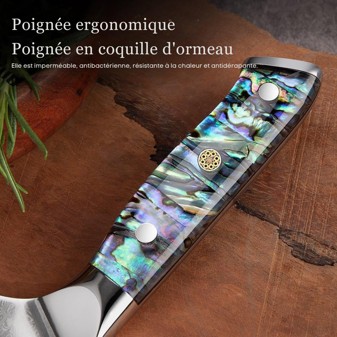 Couteau de Chef Nakiri 7”, Lame en Damas et Poignée en Coquille d'Abalone - ChicUndStil