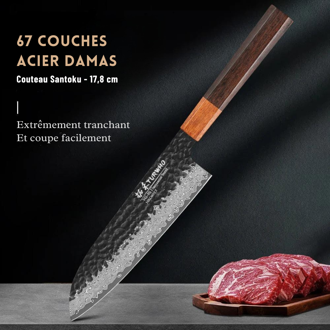 Couteau de Chef Japonais de 20 cm – Acier au Carbone Professionnel - ChicUndStil