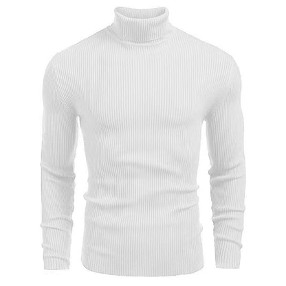 Pull à col roulé pour hommes en fine maille côtelée Chic und Stil