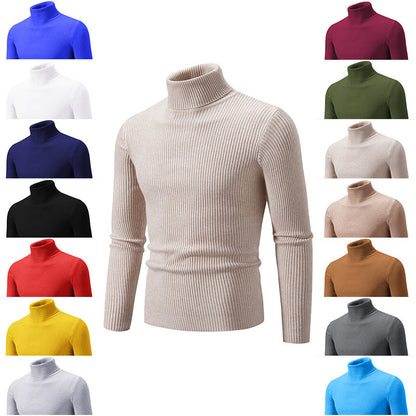 Pullover à col roulé tendance pour hommes avec un design en ribbing fin Chic und Stil