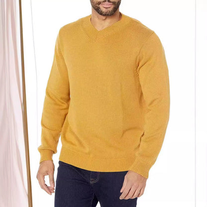 Pull en V à col pour hommes en tricot fin Chic und Stil
