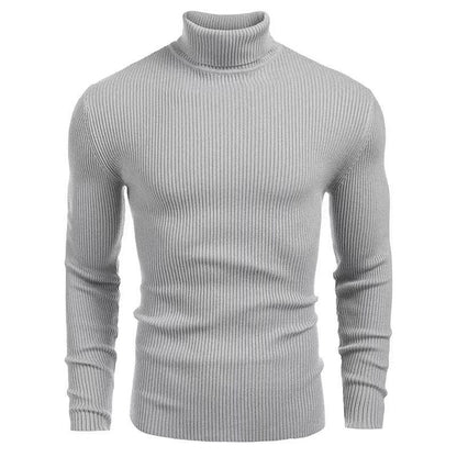Pull à col roulé pour hommes en fine maille côtelée Chic und Stil