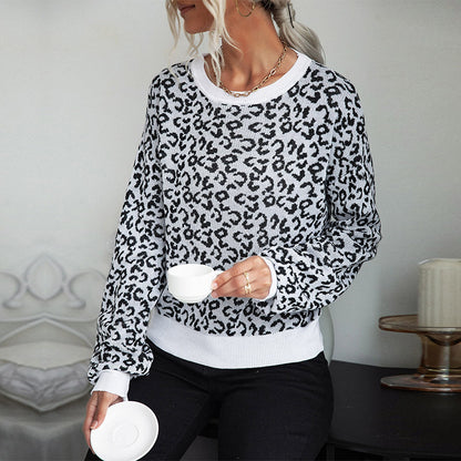 Pull en tricot tendance pour femmes avec un motif léopard décontracté et un col rond Chic und Stil