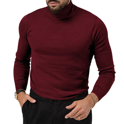 Pull-over à col roulé pour hommes avec une fine structure tricotée et une coupe décontractée Chic und Stil