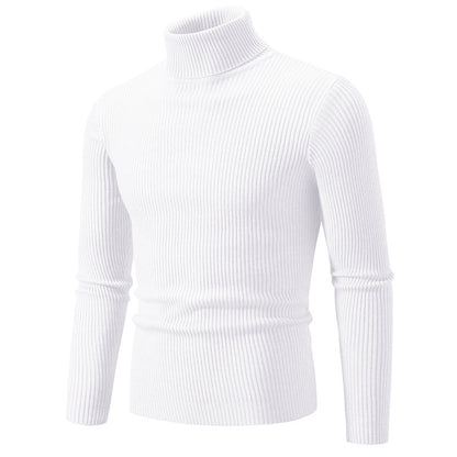 Pullover à col roulé tendance pour hommes avec un design en ribbing fin Chic und Stil
