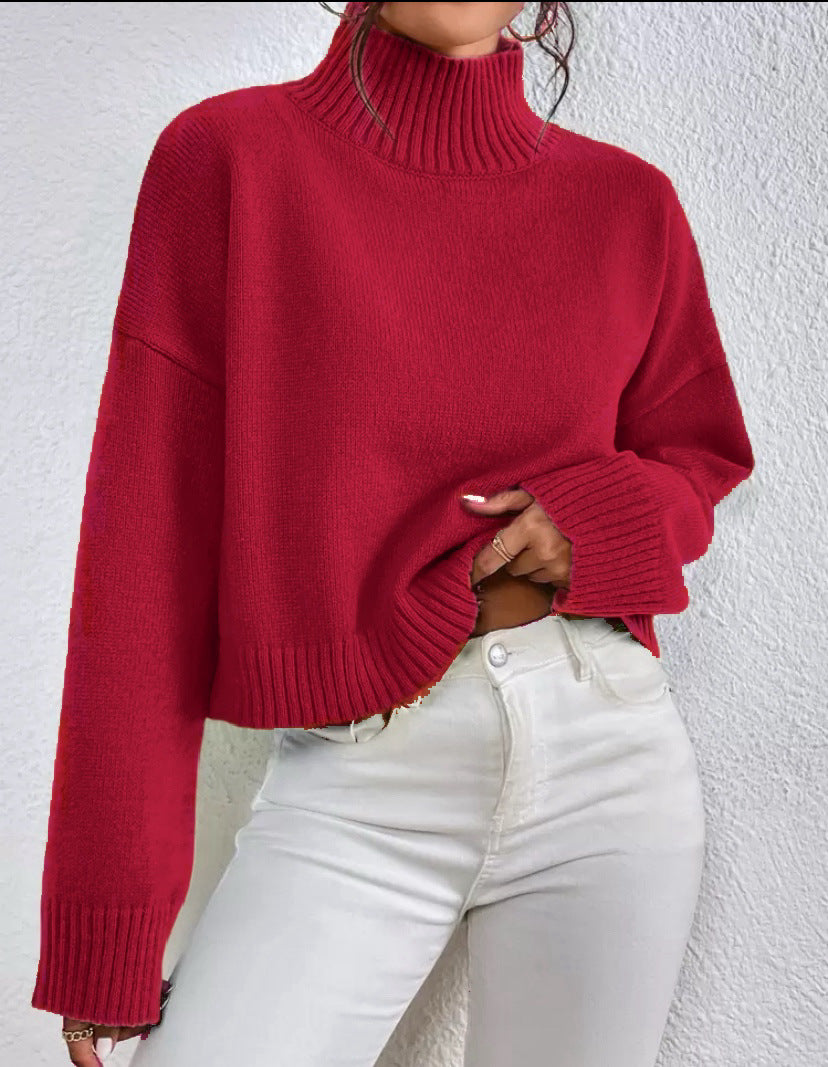Dames pull col tendance en laine douce Chic und Stil