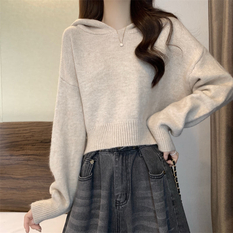 Pull en tricot décontracté à capuche pour femmes avec des manches amples Chic und Stil
