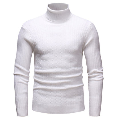 Pull-over à col roulé élégant pour hommes en fine maille Chic und Stil