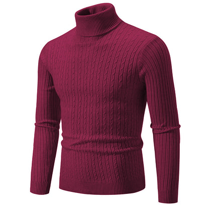 Pull à col roulé pour hommes avec motif torsadé structuré Chic und Stil