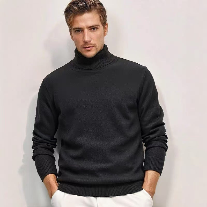 Pullover with roll neck for men in fine knit Chic und Stil