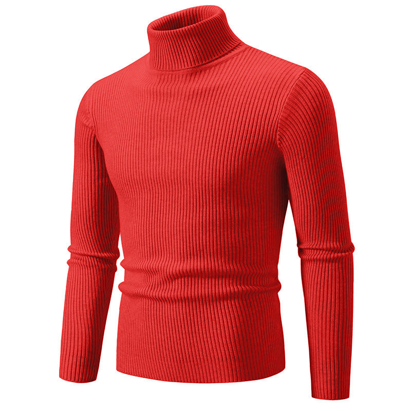 Pullover à col roulé tendance pour hommes avec un design en ribbing fin Chic und Stil