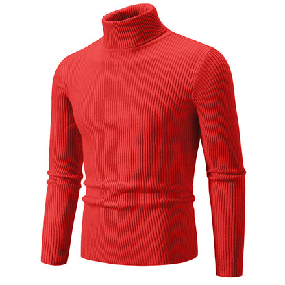 Pullover à col roulé tendance pour hommes avec un design en ribbing fin Chic und Stil