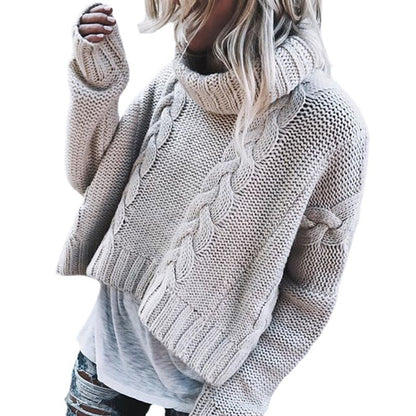 Pull à grosses mailles pour femmes avec col montant et motifs en relief stratégiquement placés.