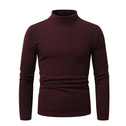 Pull col roulé en maille fine pour hommes Chic und Stil