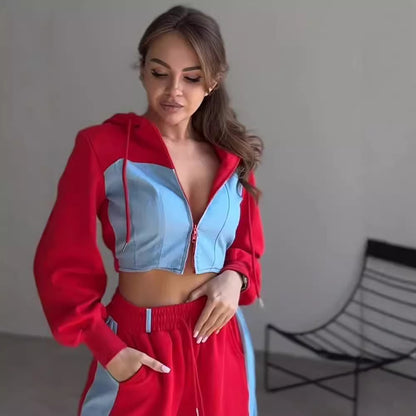 Chic and Style women's trendy hoodie set and wide sweatpants