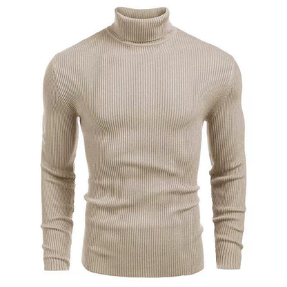 Pull à col roulé pour hommes en fine maille côtelée Chic und Stil