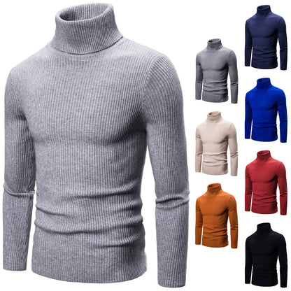 Pullover for men with a fashionable turtleneck made of high-quality knit Chic and Style