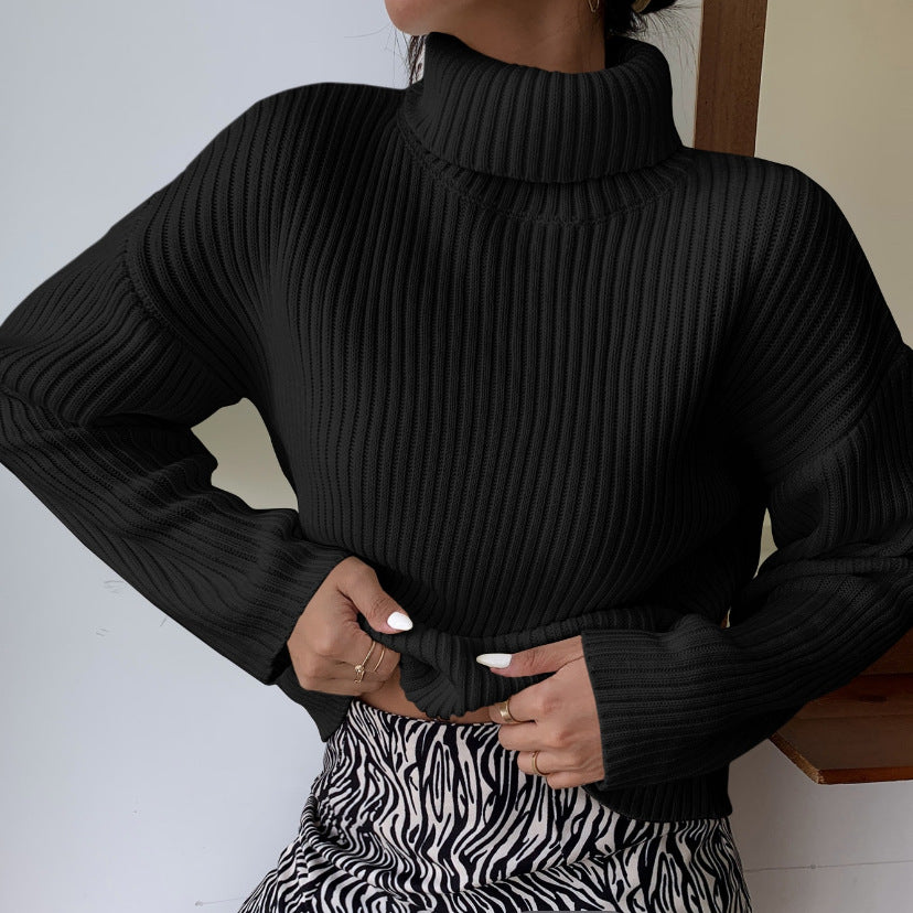 Pull en maille côtelée pour femmes à col roulé de haute qualité Chic und Stil