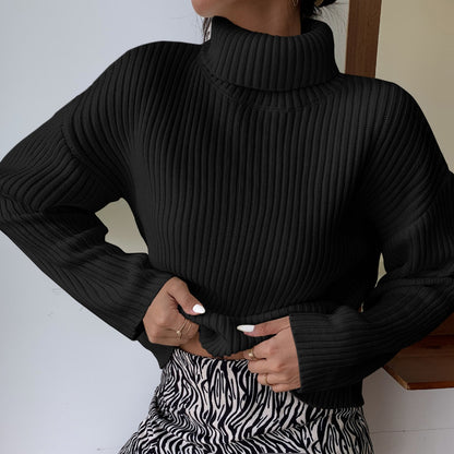 Pull en maille côtelée pour femmes à col roulé de haute qualité Chic und Stil