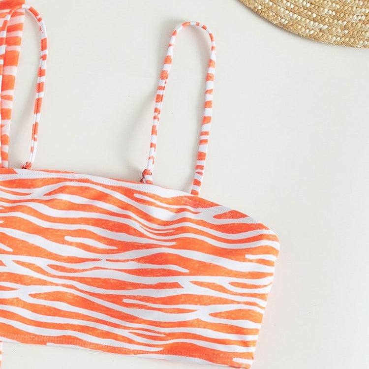 Chic und Stil Zebra Print Two-Piece Swimsuit Set for Women